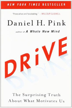 Drive - Book Cover